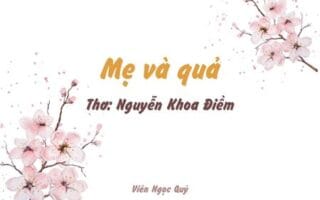 Cảm nhận bài thơ: Mẹ và quả – Nguyễn Khoa Điềm