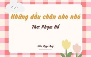 Cảm nhận bài thơ: Những dấu chân nho nhỏ – Phạm Hổ