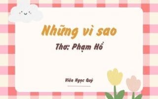 Cảm nhận bài thơ: Những vì sao – Phạm Hổ