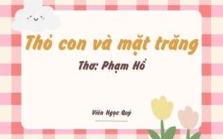 Cảm nhận bài thơ: Thỏ con và mặt trăng – Phạm Hổ