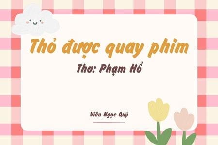 Cảm nhận bài thơ: Thỏ được quay phim – Phạm Hổ