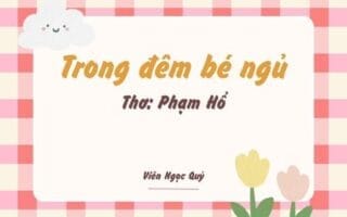 Trong đêm bé ngủ