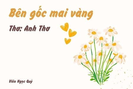 Bên gốc mai vàng