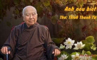 Cảm nhận bài thơ: Anh nếu biết – Thiền sư Thích Thanh Từ