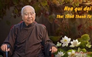 Cảm nhận bài thơ: Hoa quì dại – Thiền sư Thích Thanh Từ