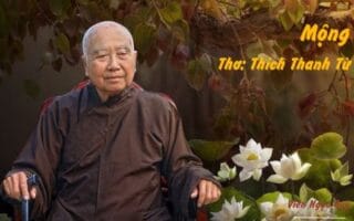 Cảm nhận bài thơ: Mộng – Thiền sư Thích Thanh Từ