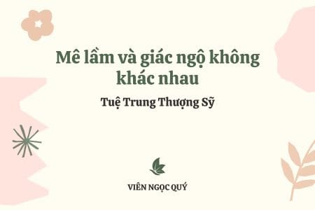 Cảm nhận bài thơ: Mê lầm và giác ngộ không khác nhau – Tuệ Trung Thượng Sĩ
