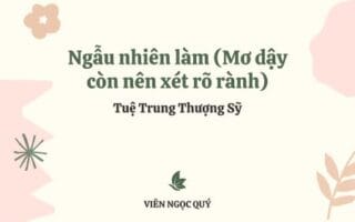 Cảm nhận bài thơ: Ngẫu nhiên làm (Mơ dậy còn nên xét rõ rành) – Tuệ Trung Thượng Sĩ