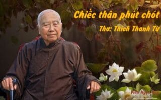 Cảm nhận bài thơ: Chiếc thân phút chót – Thiền sư Thích Thanh Từ