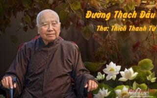 Cảm nhận bài thơ: Đường Thạch Đầu – Thiền sư Thích Thanh Từ