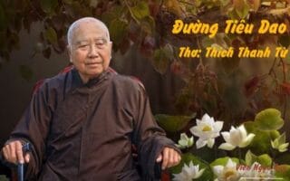 Cảm nhận bài thơ: Đường Tiêu Dao – Thiền sư Thích Thanh Từ