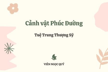 Cảm nhận bài thơ: Cảnh vật Phúc Đường – Tuệ Trung Thượng Sĩ