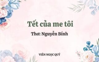 Cảm nhận bài thơ: Tết của me tôi - Nguyễn Bính