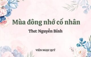 Cảm nhận bài thơ: Mùa đông nhớ cố nhân - Nguyễn Bính