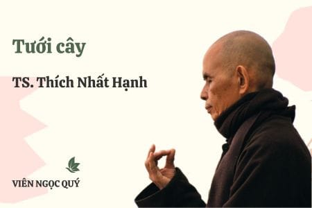 Cảm nhận bài thi kệ: Tưới cây – Thiền sư Nhất Hạnh