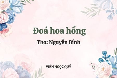 Cảm nhận bài thơ: Đoá hoa hồng - Nguyễn Bính