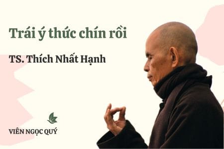 Cảm nhận bài thơ: Trái ý thức chín rồi - Thiền sư Nhất Hạnh