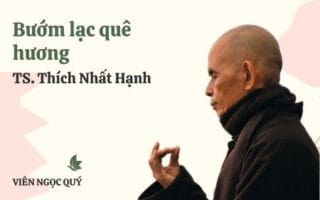 Cảm nhận bài thơ: Bướm lạc quê hương - Thiền sư Nhất Hạnh