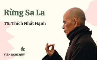 Cảm nhận bài thơ: Rừng Sa La - Thiền sư Nhất Hạnh