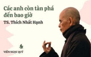 Cảm nhận bài thơ: Các anh còn tàn phá đến bao giờ – Thiền sư Nhất Hạnh