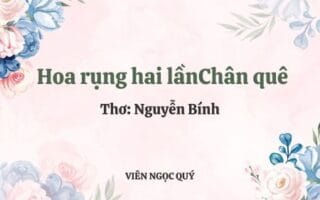 Cảm nhận bài thơ: Hoa rụng hai lần - Nguyễn Bính