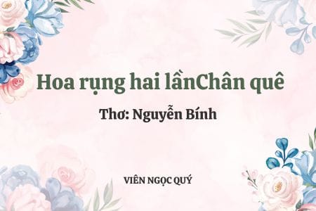 Cảm nhận bài thơ: Hoa rụng hai lần - Nguyễn Bính