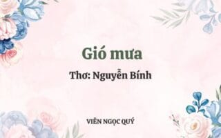 Cảm nhận bài thơ: Gió mưa - Nguyễn Bính