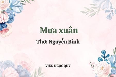 Cảm nhận bài thơ: Mưa xuân - Nguyễn Bính