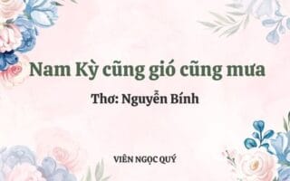 Cảm nhận bài thơ: Nam Kỳ cũng gió cũng mưa - Nguyễn Bính