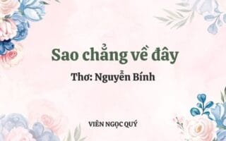 Cảm nhận bài thơ: Sao chẳng về đây? - Nguyễn Bính