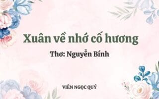Cảm nhận bài thơ: Xuân về nhớ cố hương - Nguyễn Bính